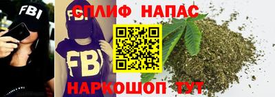 гашик Тверь