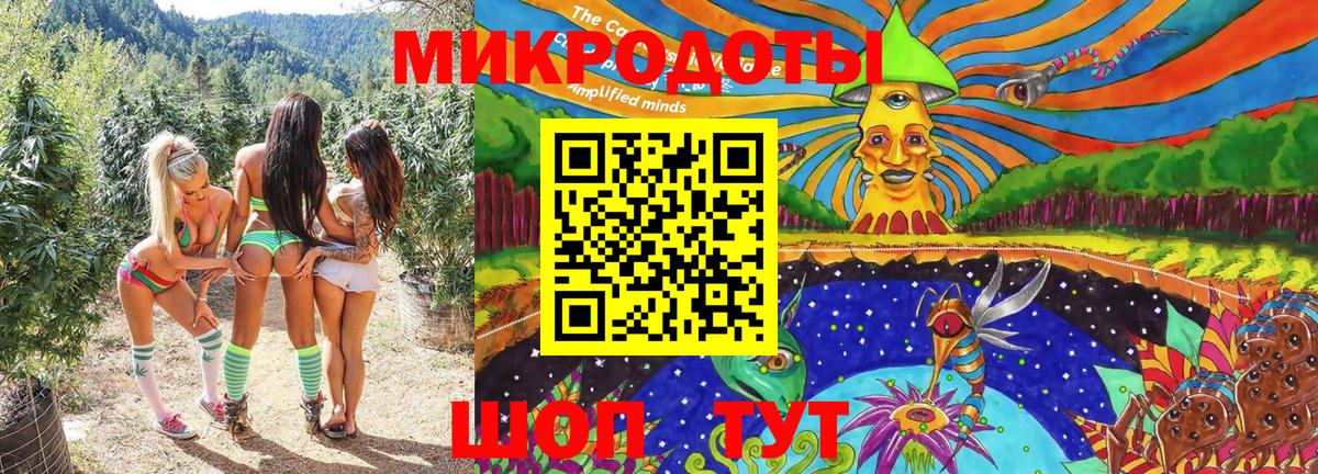 Новороссийск  Псилоцибиновые грибы Psilocybe  Вход с VPN  Галлюциногенные грибы Psilocybe 